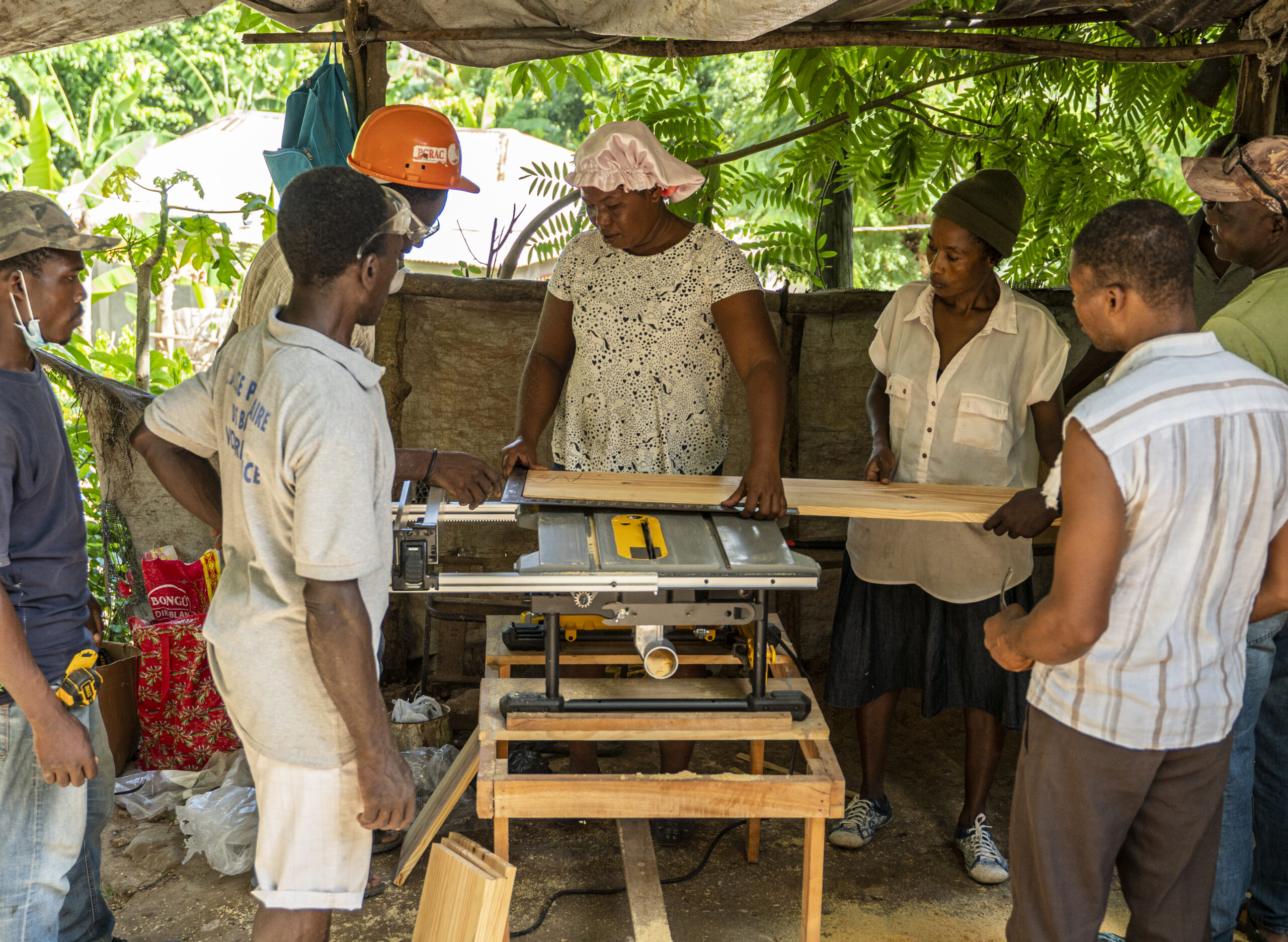 Building Resilience in Haiti: Training in Modern Beehive Construction ...